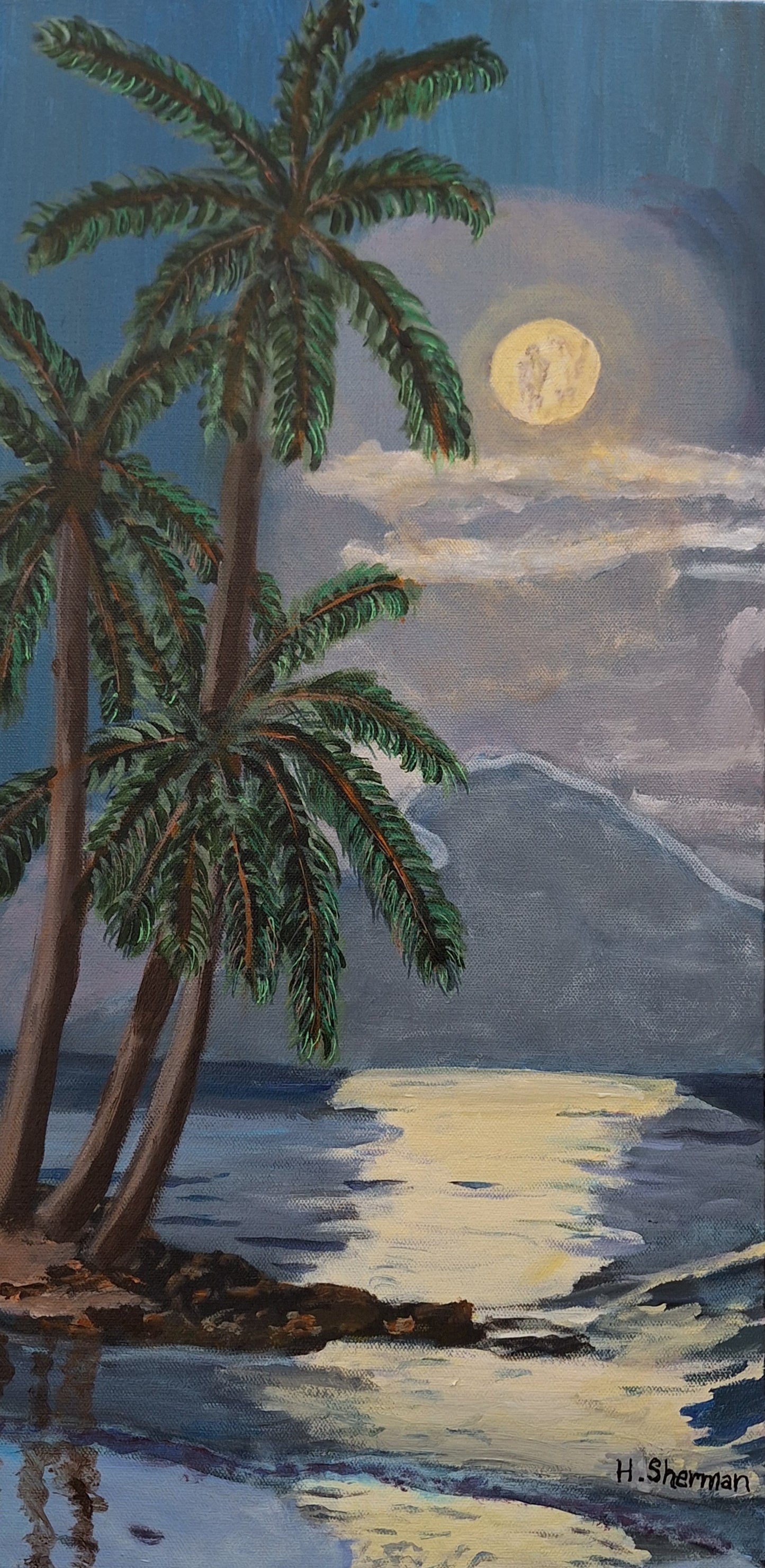 Tropical Palms at Night